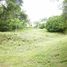  Land for sale at Brasil de Mora, Mora, San Jose