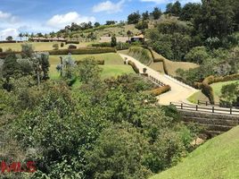  Land for sale in Bare Foot Park (Parque de los Pies Descalzos), Medellin, Medellin