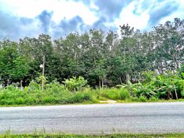  Land for sale in Nikhom Phatthana, Rayong, Makham Khu, Nikhom Phatthana