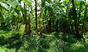 N/A Land for sale in Khlong Hae, Songkhla 