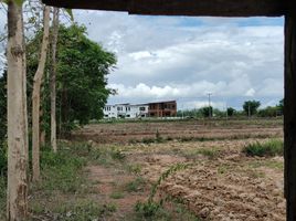  Grundstück zu verkaufen in Chiang Kham, Phayao, Nam Waen