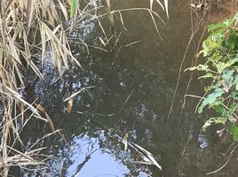  Grundstück zu verkaufen in Mueang Prachin Buri, Prachin Buri, Khok Mai Lai