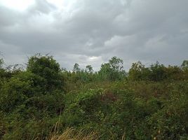  Land for sale in Samut Prakan, Laem Fa Pha, Phra Samut Chedi, Samut Prakan