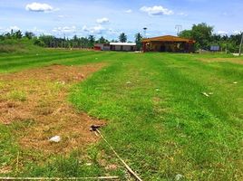  Land for sale in Ratchaburi, Don Kruai, Damnoen Saduak, Ratchaburi