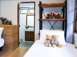 8 Schlafzimmer Haus zu verkaufen in Mueang Chiang Mai, Chiang Mai, Phra Sing, Mueang Chiang Mai, Chiang Mai, Thailand