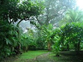 10 Schlafzimmer Haus zu verkaufen im Tamarindo, Santa Cruz, Guanacaste, Costa Rica