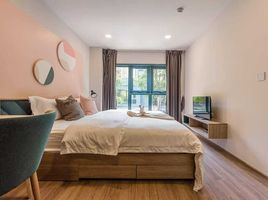 2 Schlafzimmer Appartement zu verkaufen im The BASE Sukhumvit 50, Phra Khanong, Khlong Toei