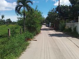  Land for sale in Phuket, Pa Khlok, Thalang, Phuket