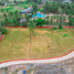  Land for sale in Pran Buri, Prachuap Khiri Khan, Wang Phong, Pran Buri