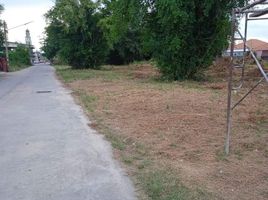  Земельный участок for sale in Чонбури, Nong Prue, Паттая, Чонбури