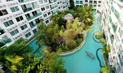 Photo 3 of the Communal Garden Area at Amazon Residence