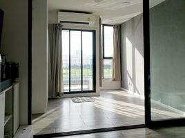 1 Bedroom Condo for rent at Atmoz Chaengwattana, Khlong Kluea, Pak Kret