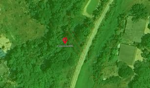 N/A Land for sale in Thep Krasattri, Phuket 