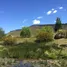  Land for sale in Zapala Neuquen, Zapala, Neuquen