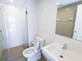 1 Bedroom Apartment for rent at TKF Condo, Bang Chak