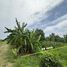  Land for sale in Sam Wa Tawan Ok, Khlong Sam Wa, Sam Wa Tawan Ok