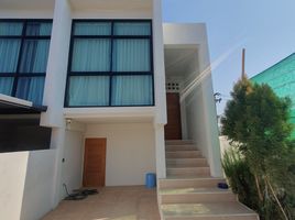 2 Bedroom Townhouse for sale in Wichit, Phuket Town, Wichit