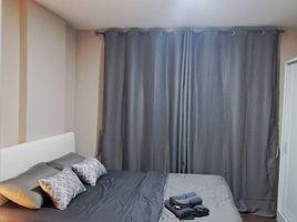 Studio Wohnung zu vermieten im D Condo Creek, Kathu, Kathu