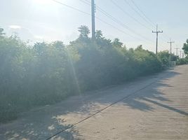  Land for sale in Chon Buri, Wat Luang, Phanat Nikhom, Chon Buri