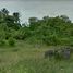  Land for sale in Ang Thong, Koh Samui, Ang Thong