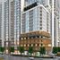 2 Bedroom Condo for sale at The Crest, Sobha Hartland, Mohammed Bin Rashid City (MBR)