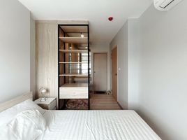 1 Schlafzimmer Appartement zu verkaufen im Nue Noble Srinakarin - Lasalle, Samrong Nuea, Mueang Samut Prakan, Samut Prakan