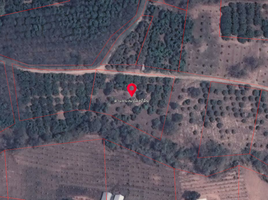  Land for sale in Phrao, Chiang Mai, Long Khot, Phrao