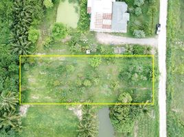  Land for sale in Chon Buri, Bo Kwang Thong, Bo Thong, Chon Buri
