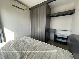 Studio Condo for rent at Villa Lasalle, Bang Na, Bang Na