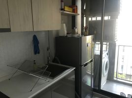 1 Schlafzimmer Wohnung zu vermieten im The Tree Sukhumvit 64, Bang Chak