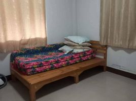 3 Bedroom House for rent in Chiang Mai, Pa Phai, San Sai, Chiang Mai