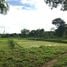  Grundstück zu verkaufen in Ko Kha, Lampang, Tha Pha, Ko Kha, Lampang