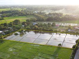  Grundstück zu verkaufen in San Kamphaeng, Chiang Mai, Rong Wua Daeng, San Kamphaeng