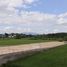  Land for sale in Thung Pi, Mae Wang, Thung Pi