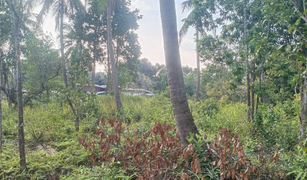 N/A Land for sale in Ko Pha-Ngan, Koh Samui 