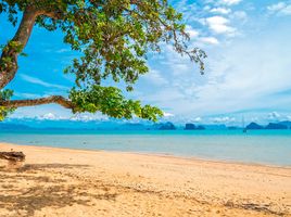  Grundstück zu verkaufen in Ko Yao, Phangnga, Ko Yao Noi