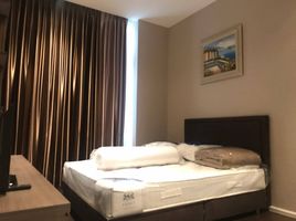 1 Bedroom Condo for rent at The Diplomat 39, Khlong Tan Nuea, Watthana, Bangkok, Thailand