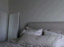 1 Schlafzimmer Wohnung zu vermieten im Casa Condo At CMU, Suthep