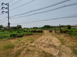  Grundstück zu verkaufen in Saraphi, Chiang Mai, Chai Sathan, Saraphi