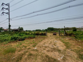  Land for sale in Chiang Mai, Chai Sathan, Saraphi, Chiang Mai