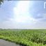  Land for sale in Nong Chak, Pattaya, Nong Chak