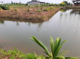  Grundstück zu verkaufen in Bang Len, Nakhon Pathom, Nin Phet