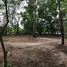  Land for sale in Khlong Yong, Phutthamonthon, Khlong Yong