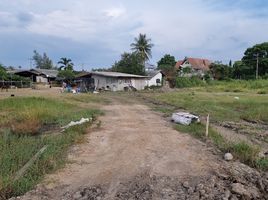  Grundstück zu verkaufen in Ban Laem, Phetchaburi, Laem Phak Bia, Ban Laem, Phetchaburi