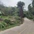 Land for sale in Phuket Town Phuket, Chalong