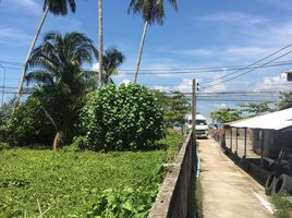  Land for sale in Cape Yamu Beach, Pa Khlok, Pa Khlok