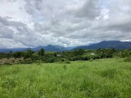  Land for sale in Pua, Nan, Pua, Pua