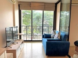 Studio Wohnung zu vermieten im Zcape X2, Choeng Thale, Thalang, Phuket