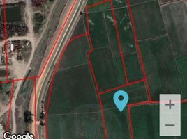  Land for sale in Bang Krasan, Bang Pa-In, Bang Krasan