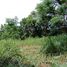  Land for sale in Nong Chabok, Mueang Nakhon Ratchasima, Nong Chabok